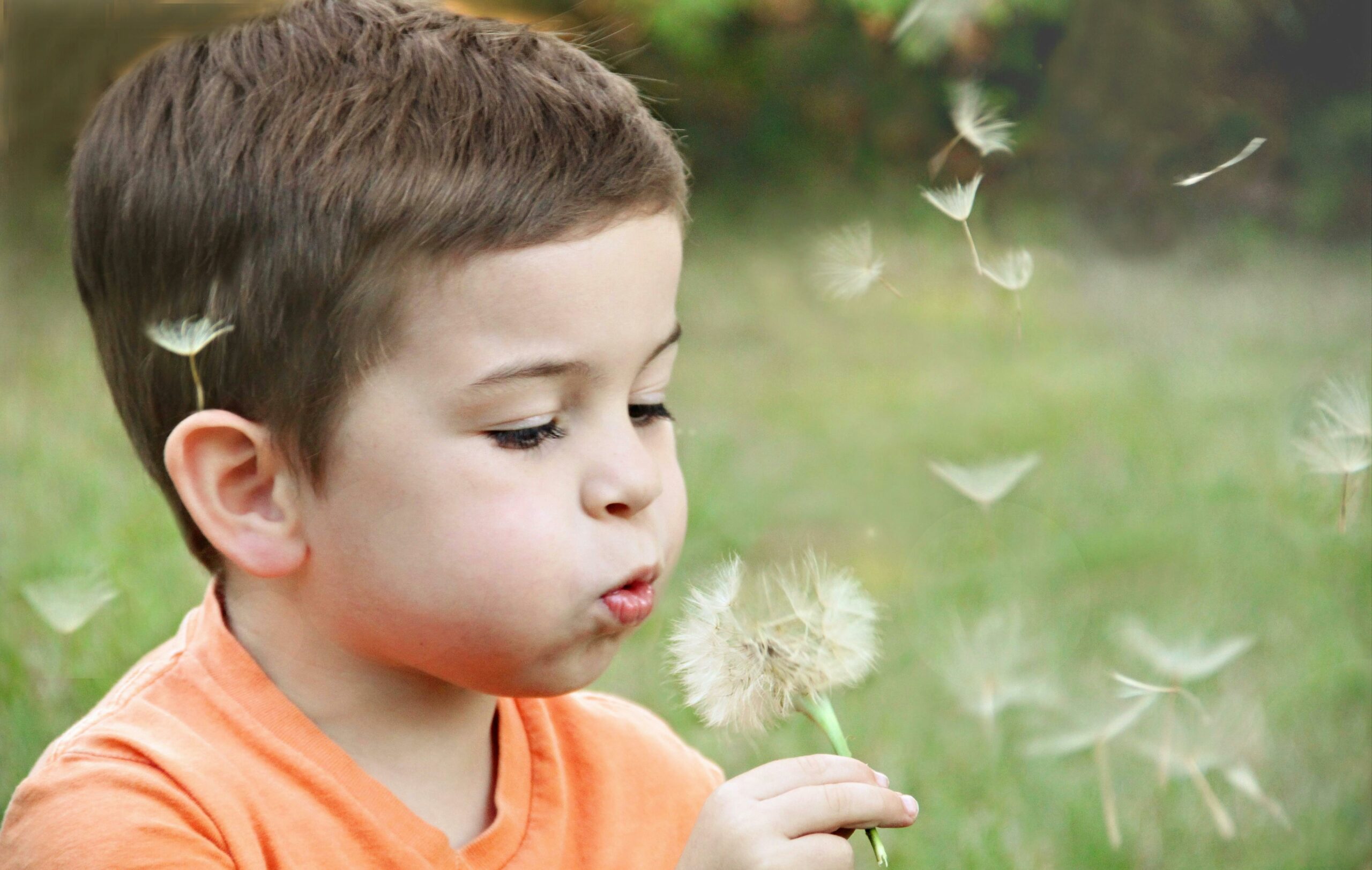 mediation conflict bemiddeling familie scheiding arbeidsconflict oplossing